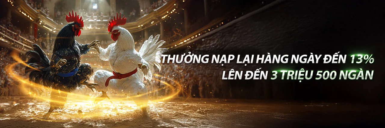 Đá gà trực tuyến NW88 với không khí sôi động